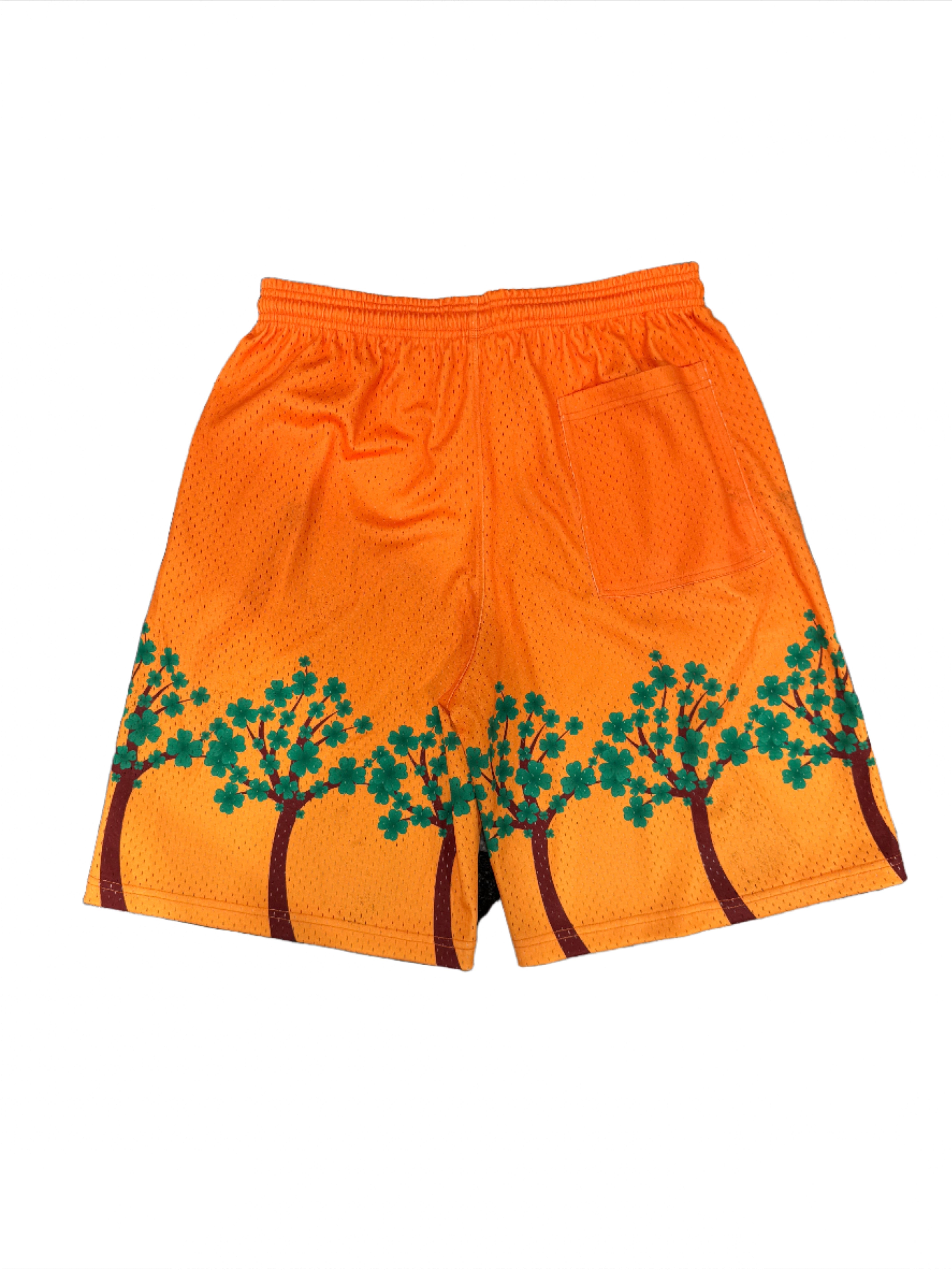 Orange Mesh Shorts